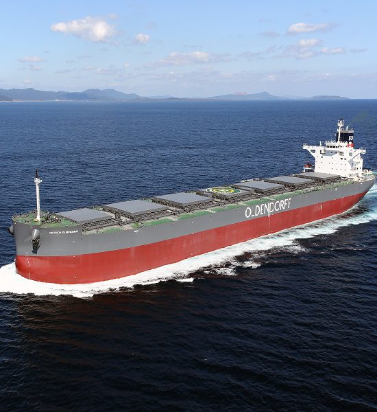 2020年建造のオルデンドルフばら積み貨物船  